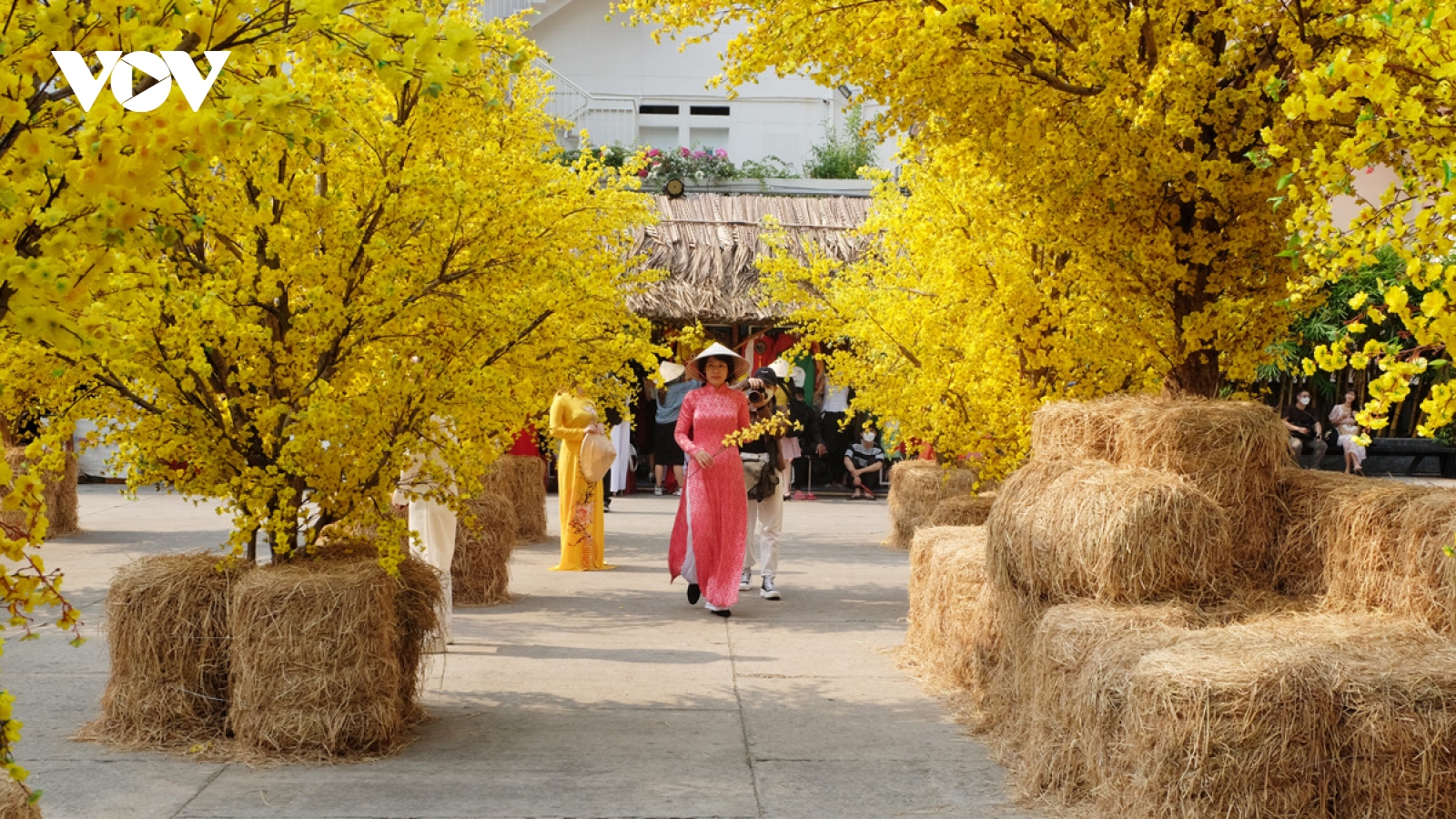 Residents eager to explore pedestrian, flower streets ahead of Tet holiday